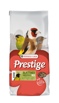 PRESTIGE BLATTNER SISKIN 1 A - LUGANO 4 KG